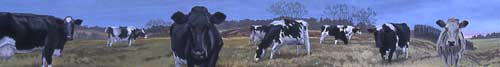 Nine Holsteins, oils, 10" x 72", 2005, priv coll